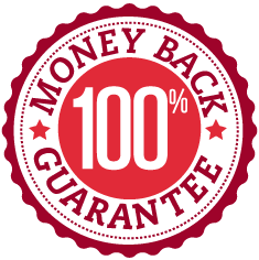 Free SEO promotion plan for your website or blog | Also for wordpress websites